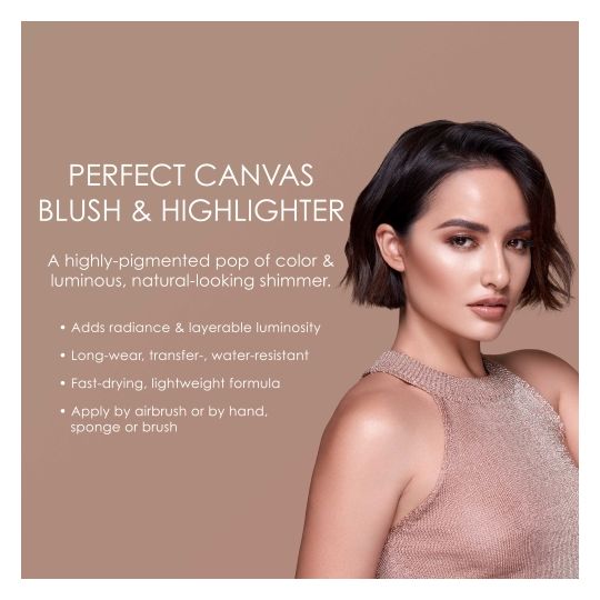 Perfect Canvas Blush & Highlighter Starter Set information