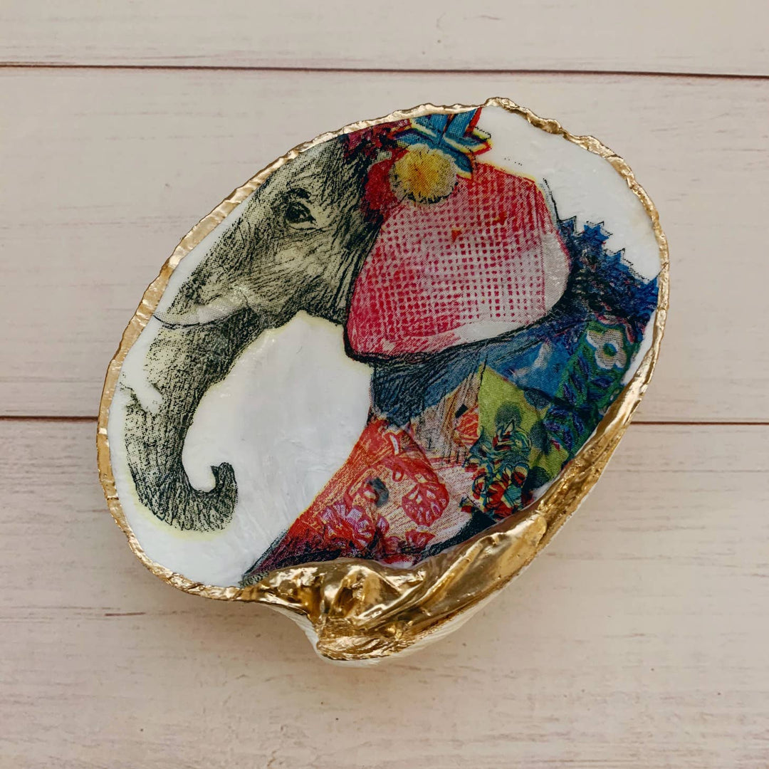 Elephant Queen Shell