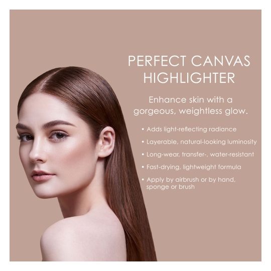 Champagne Perfect Canvas Airbrush Highlighter information