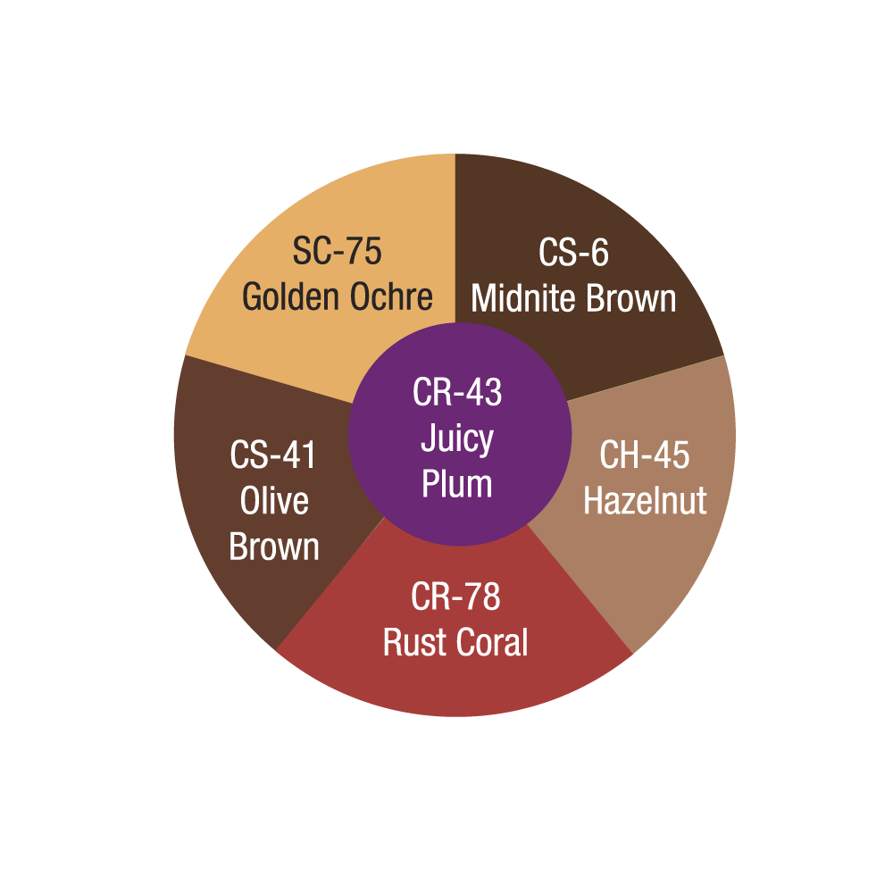 Ben Nye CBW5 Contour Wheel - Dark Brown shades