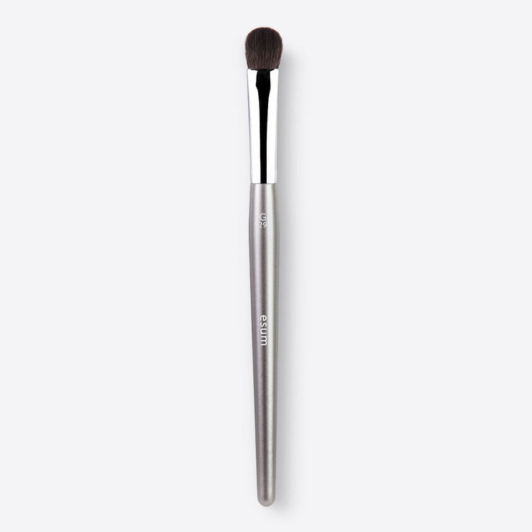 ESUM G29 All Over Shadow Brush