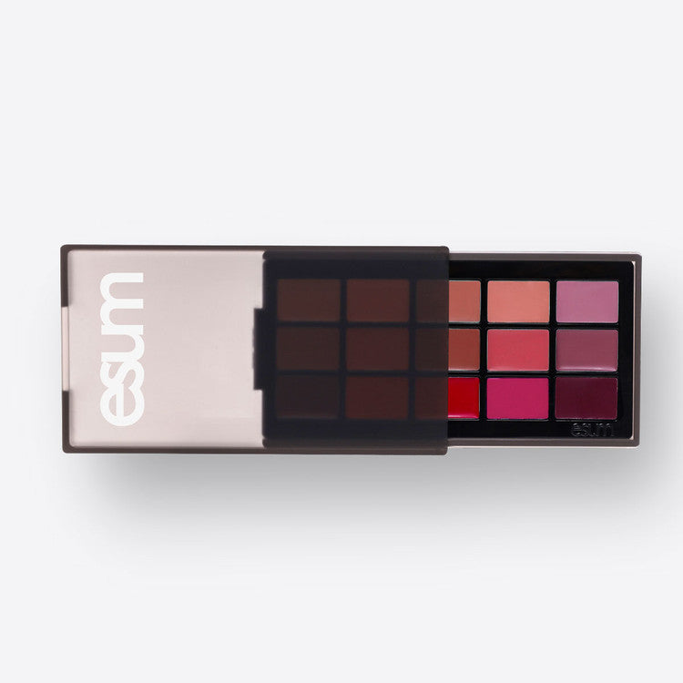 ESUM The Artistry Lip Palette No10 Nuance