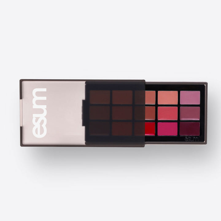 ESUM The Artistry Lip Palette No10 Nuance