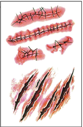 Image of The Makeup Altar Wolf Scratch and Stitches Temporary Tattoos