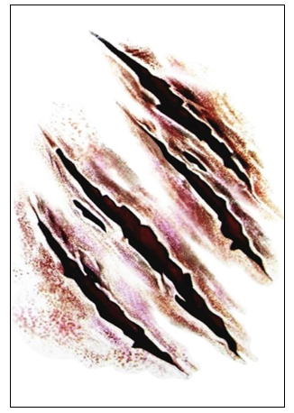 Image of The Makeup Altar Wolf Scratch Temporary Tattoos