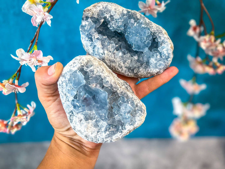 Ethically Sourced CELESTITE Clusters 1 1/2 pound