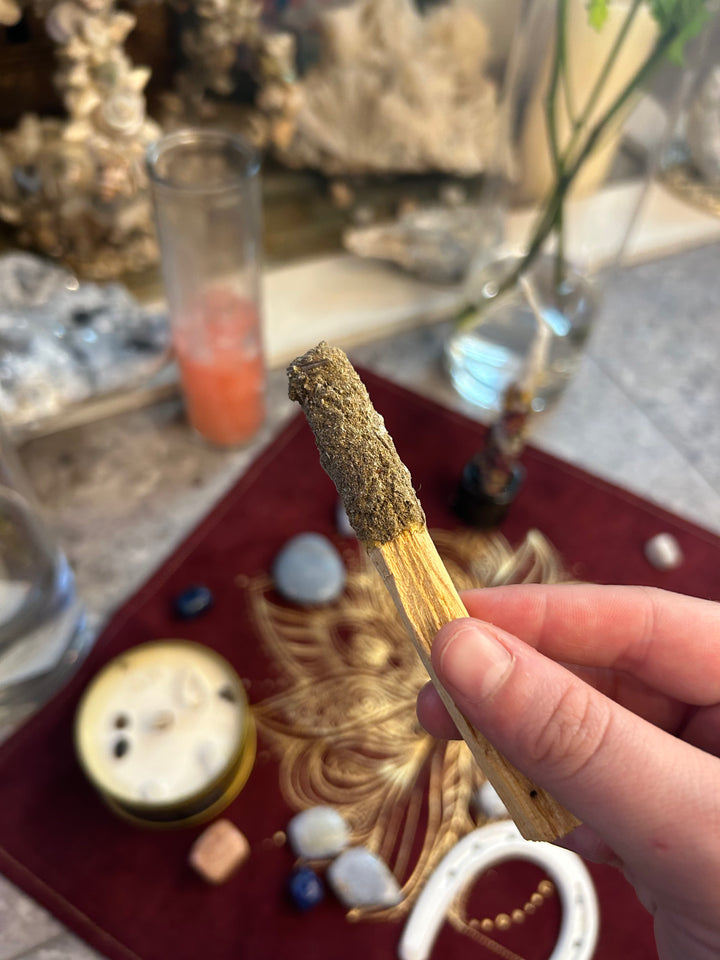 Copal Dipped Palo Santo Sticks Rolled in rosemary