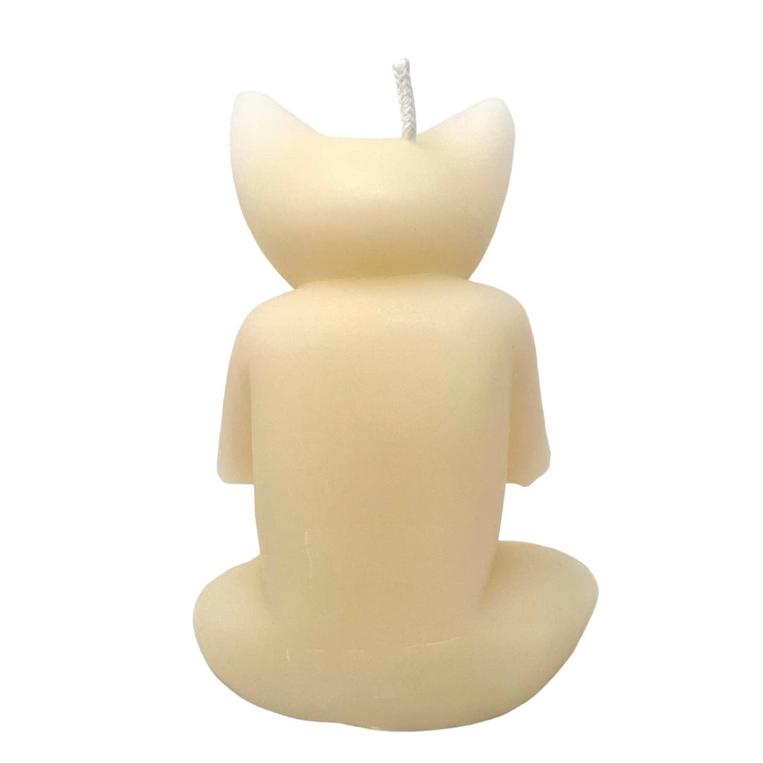 Meditating Cat