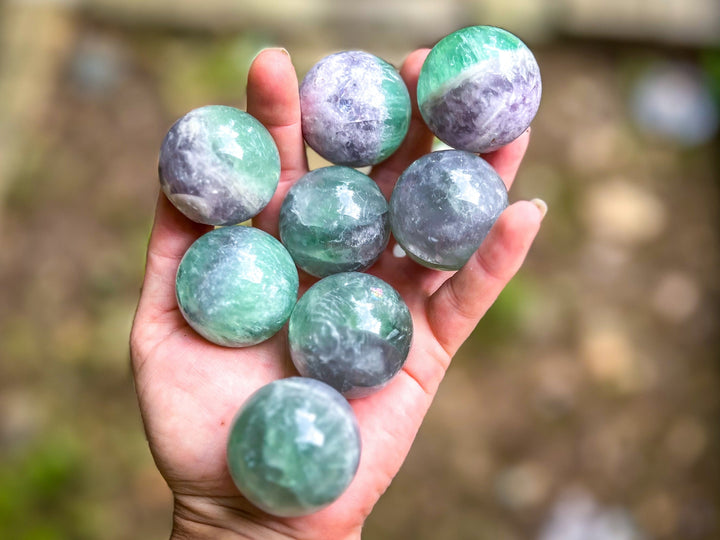 Lots of Bicolor Fluorite Spheres
