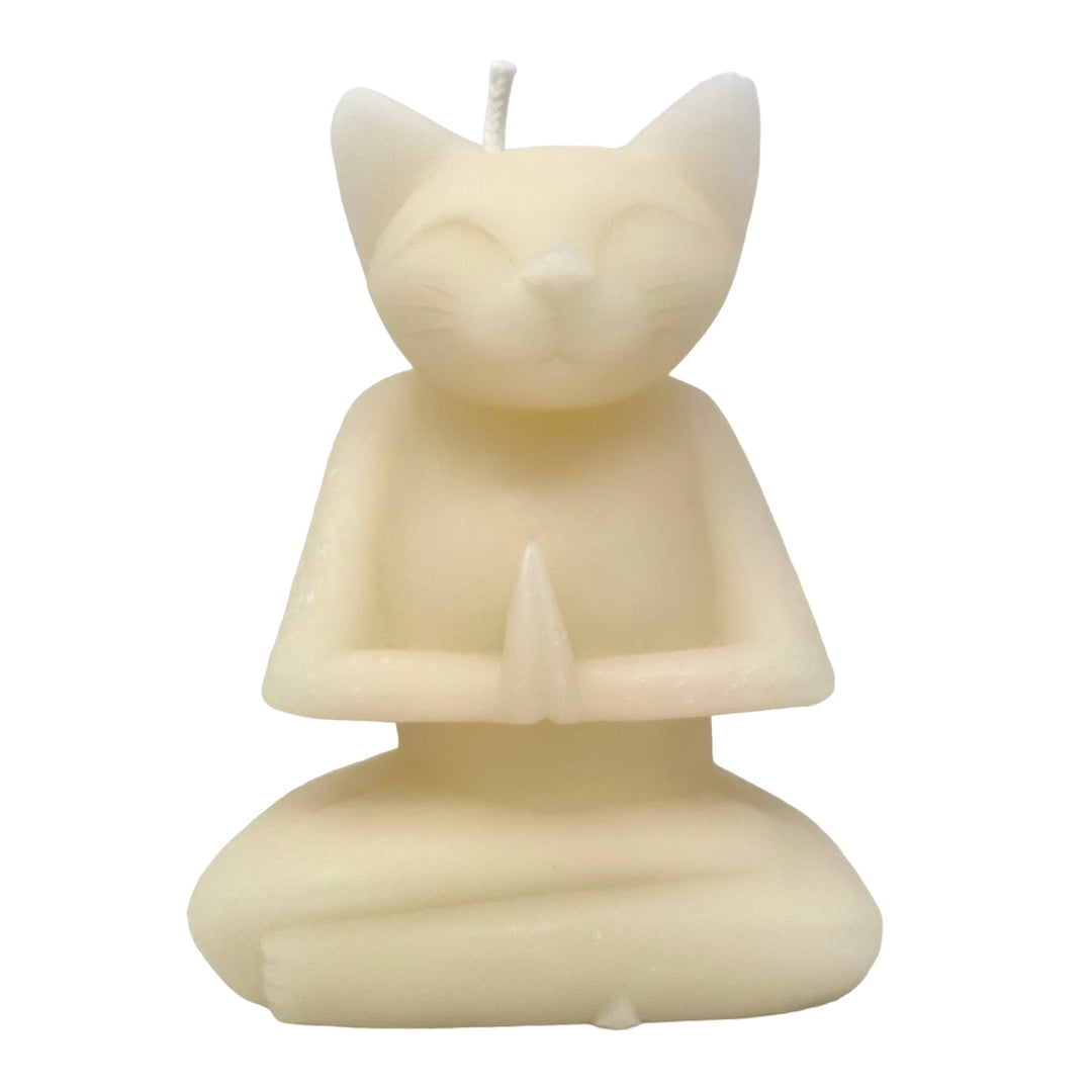 Meditating Cat