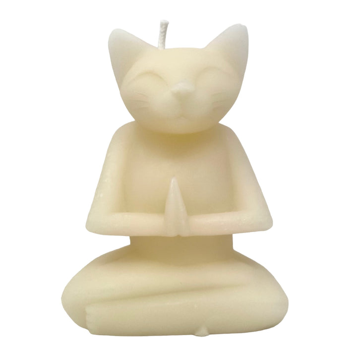 Meditating Cat