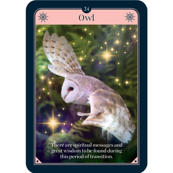 Fortune Oracle (36 Gilded Cards & 88-Page Book)