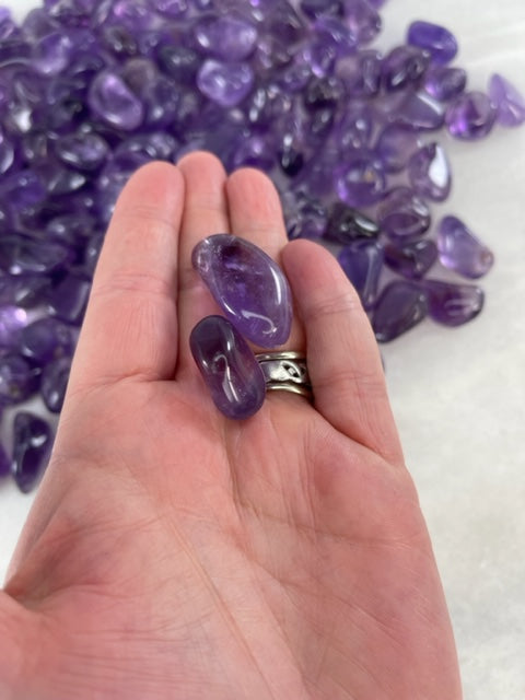 Dark Amethysts Tumblers being held