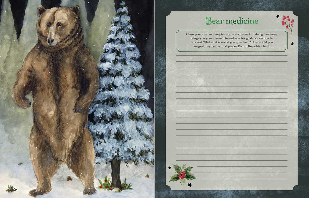 Seasons of the Witch: Yule Journal by Lorriane Anderson