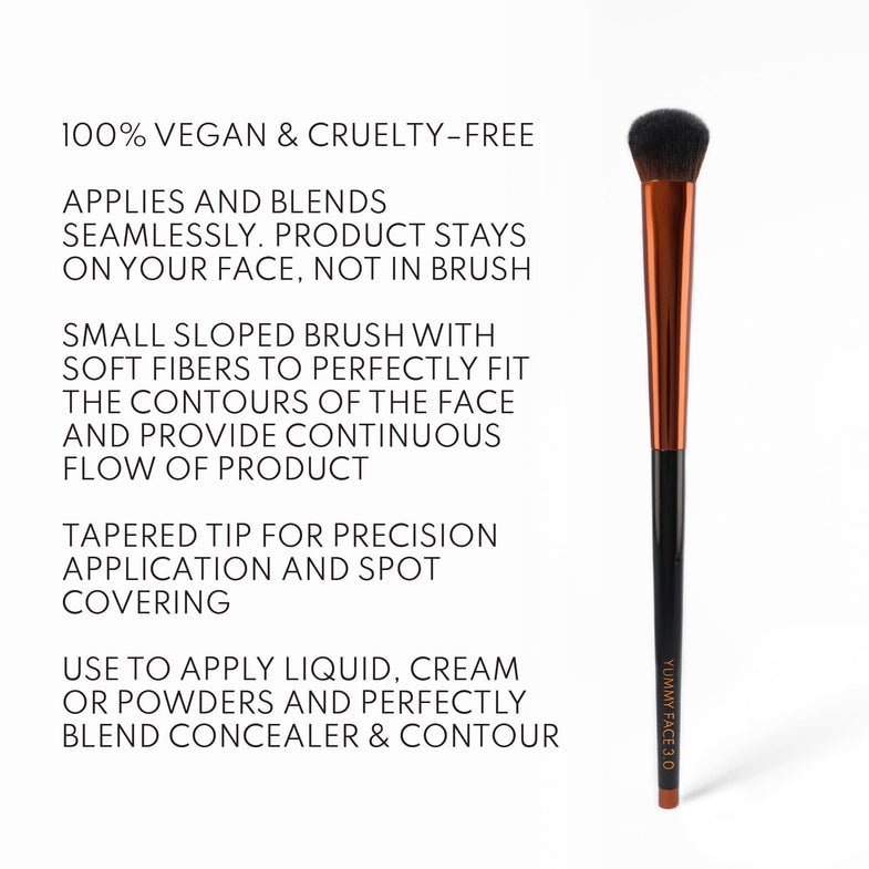 Danessa Myrics Yummy Face 3.0 All Over Concealer Brush
