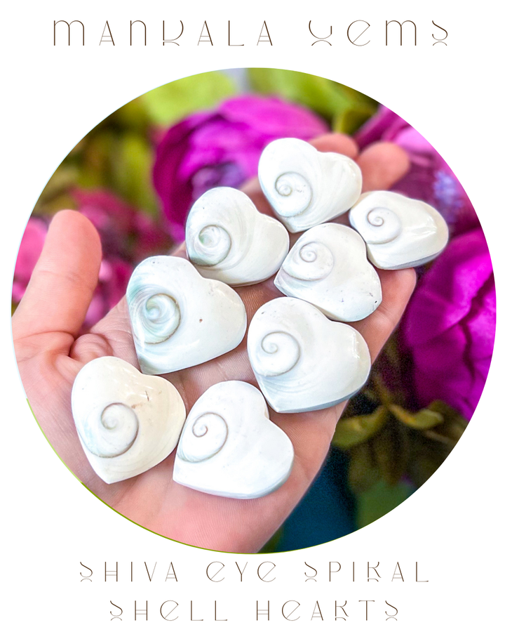 Spiral Shell Heart, Shiva Eye Heart