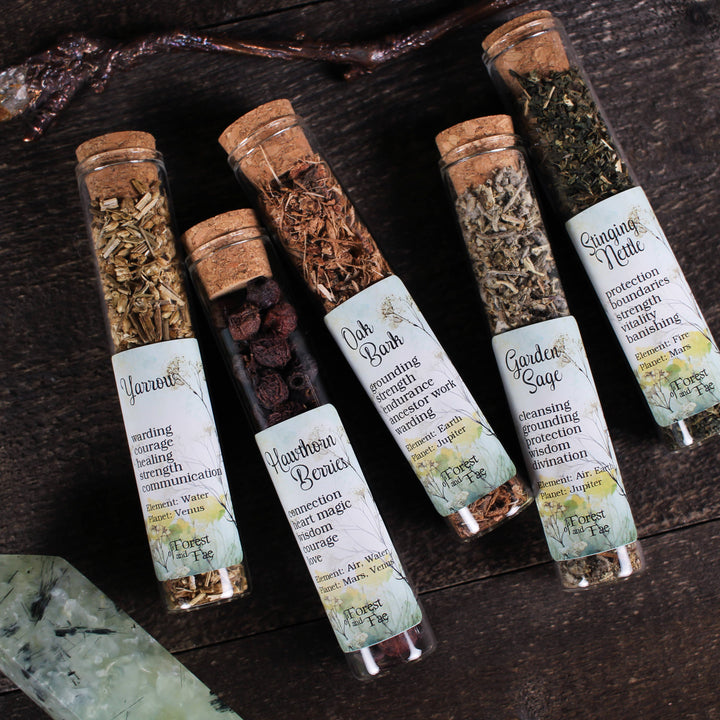 Hedgewitch’s Garden Ritual Herb Jars