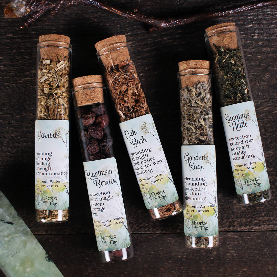 Hedgewitch’s Garden Ritual Herb Jars