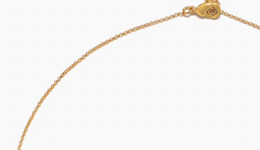 Talisman Coin Charm Pendant Necklace 14K gold Steel, 