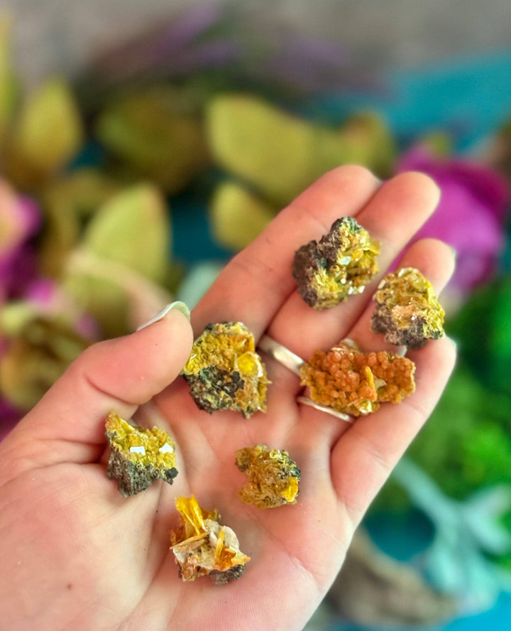 Wulfenite Crystal Specimens from Arizona