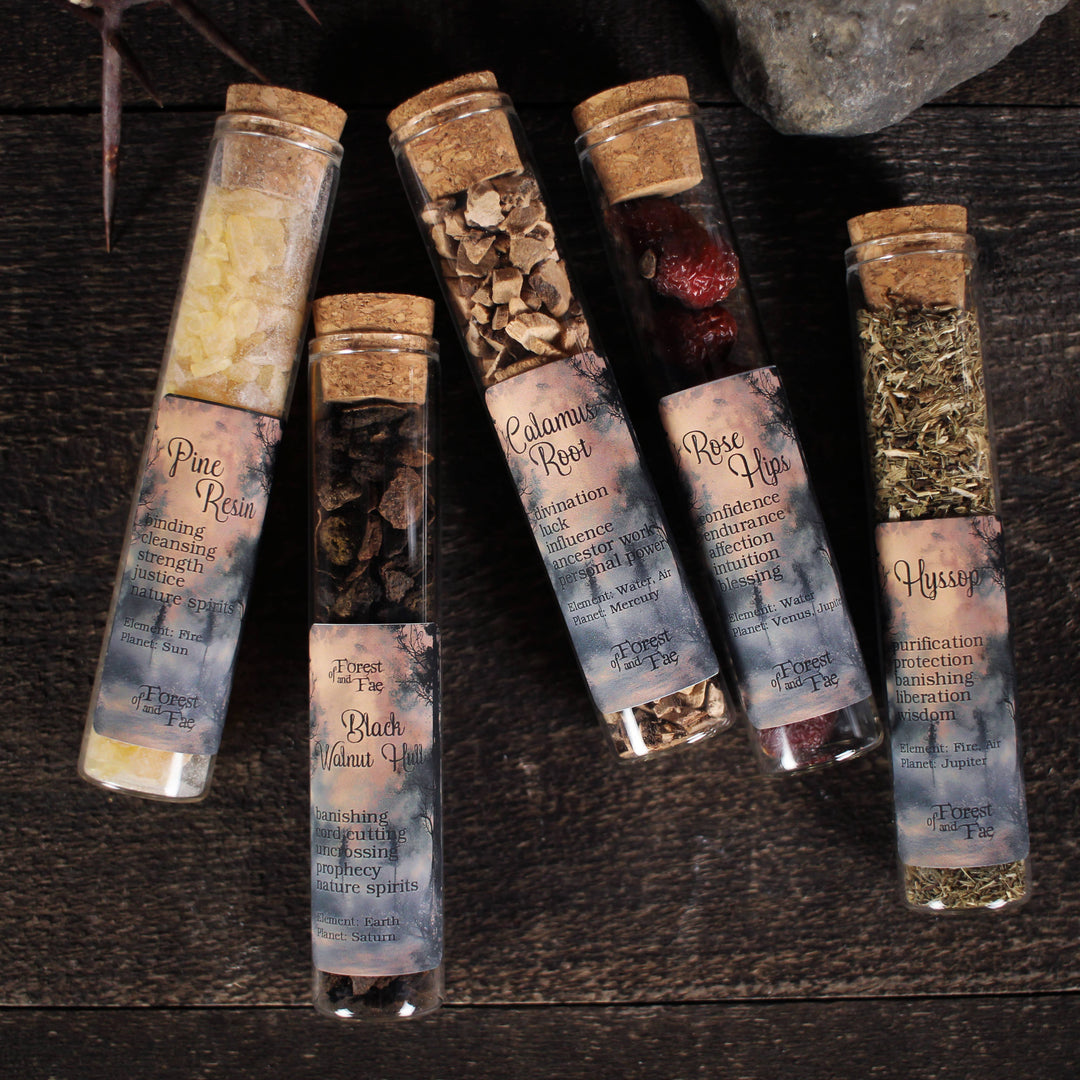 Set of small glass jars with cork lids containing various herbs and spices on a dark wooden surface.