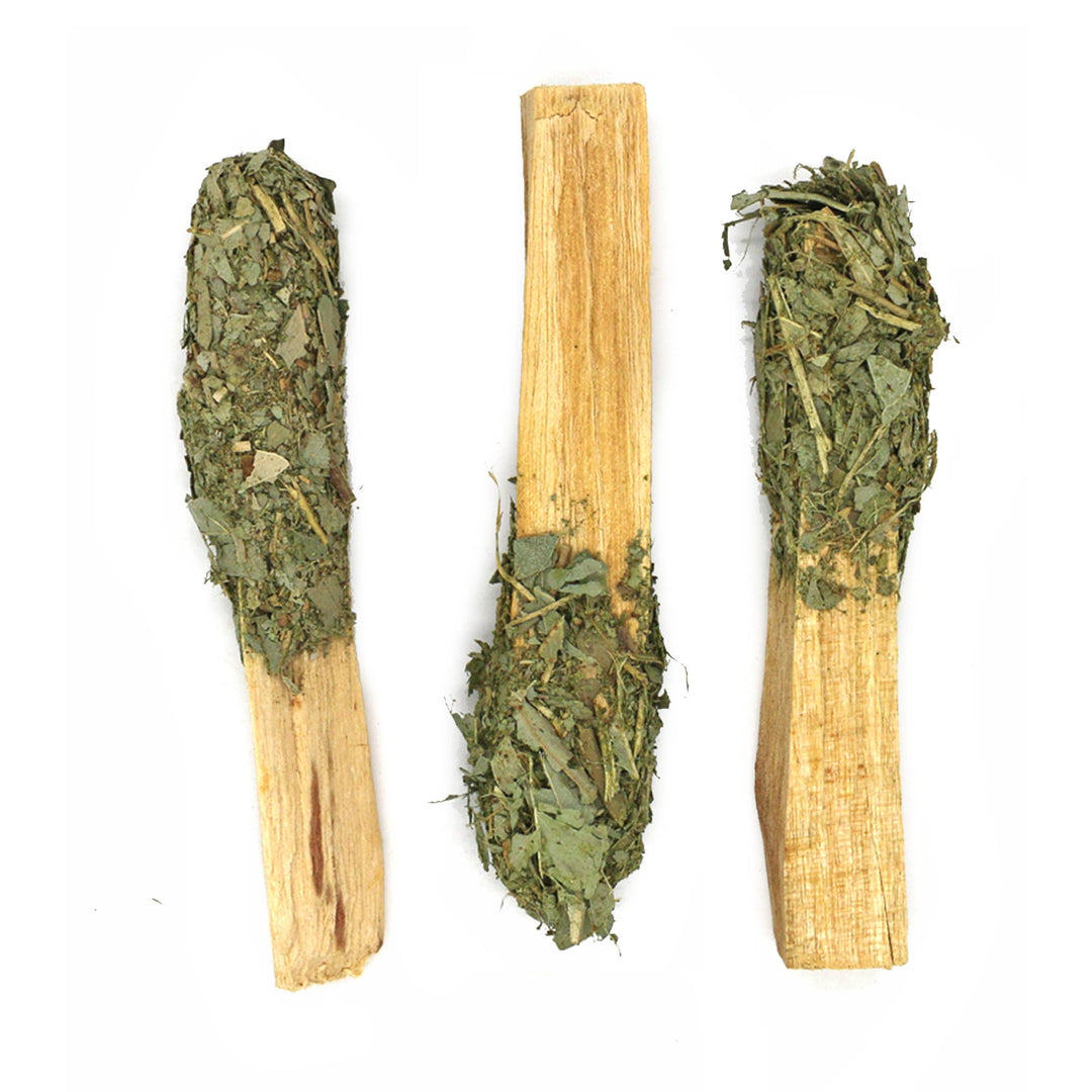 Palo Santo Pops - Dipped Eucalyptus Sage (3-4 in.)