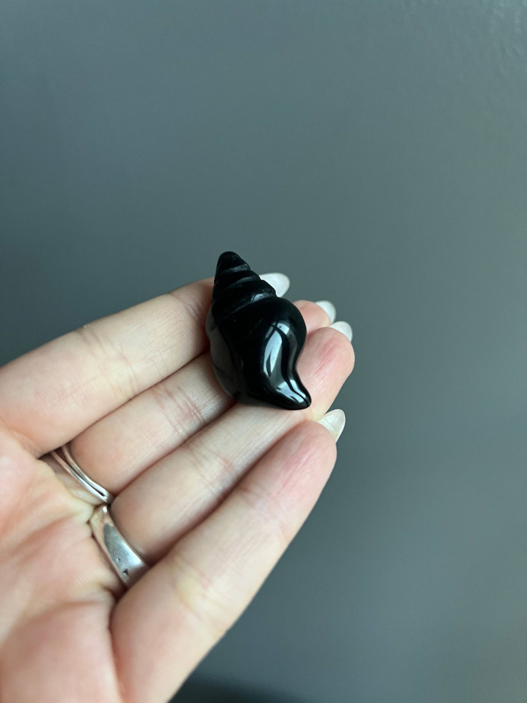 Black Obsidian Sea Shell Crystal Carving