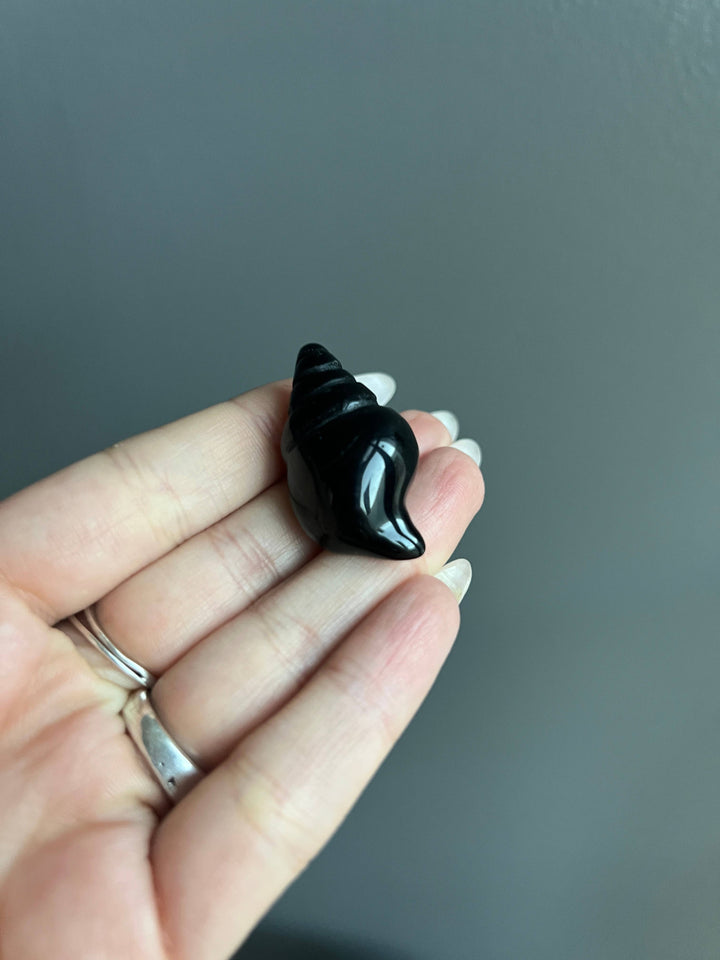 Black Obsidian Sea Shell Crystal Carving