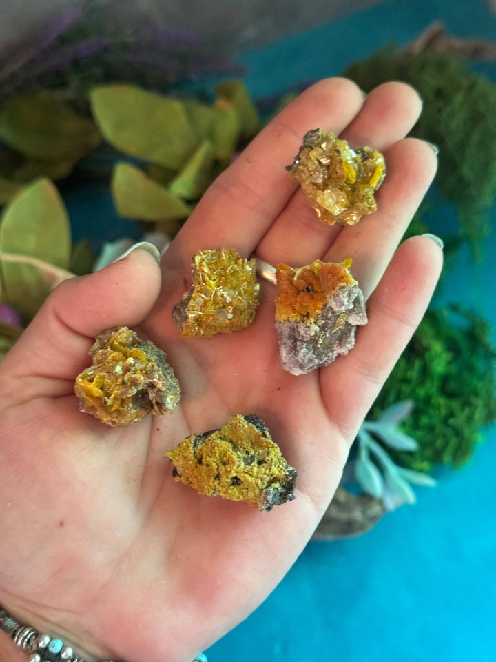 Wulfenite Crystal Specimens from Arizona