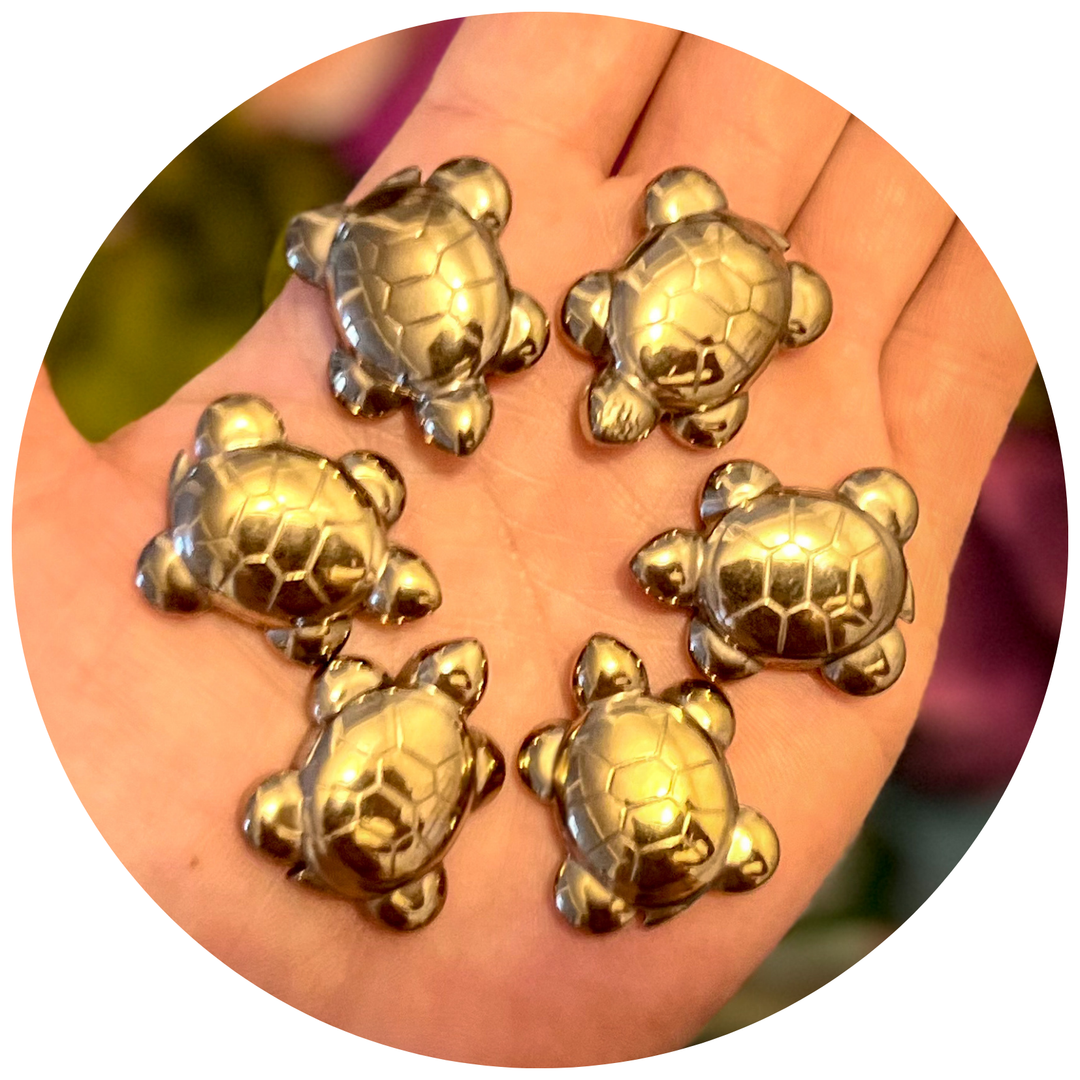Cute Pyrite Turtle