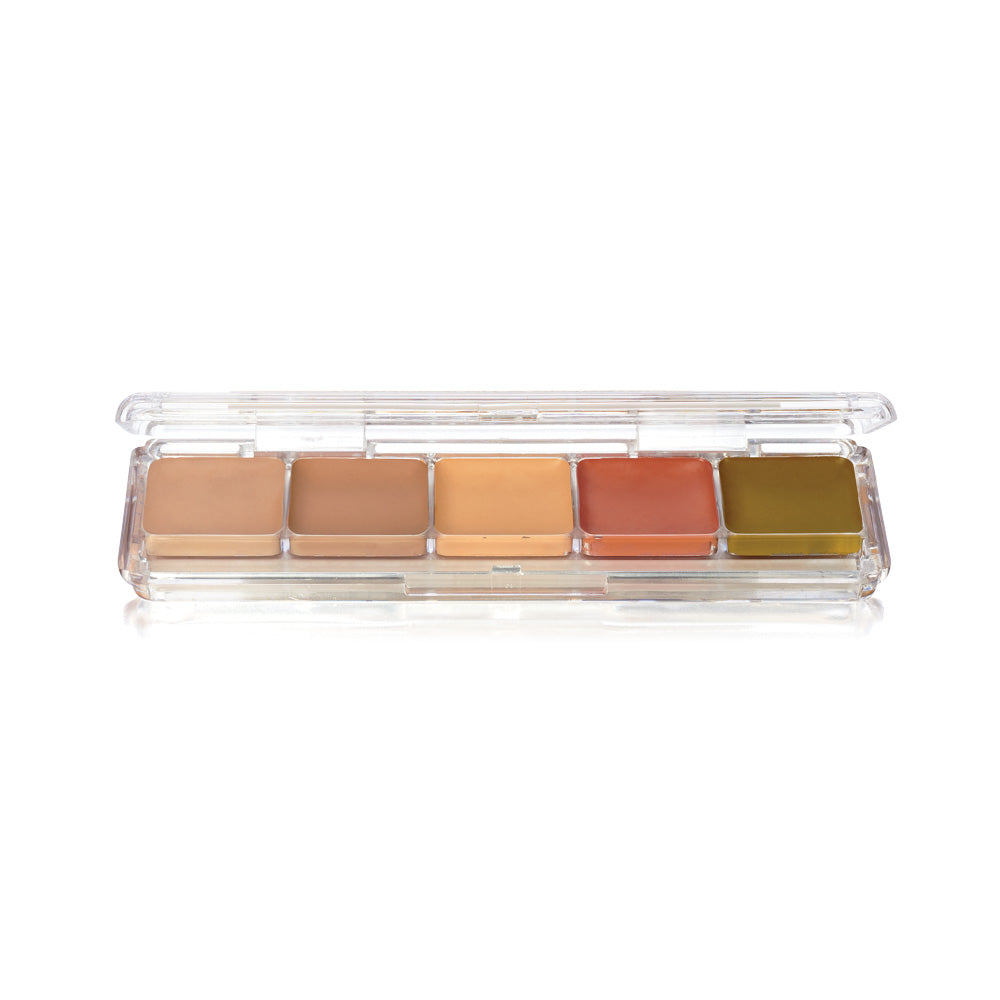 Ben Nye Concealer & Adjuster Alcohol Palette