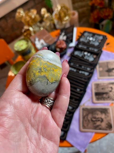 Bumble Bee Jasper Palm Stone Being Held