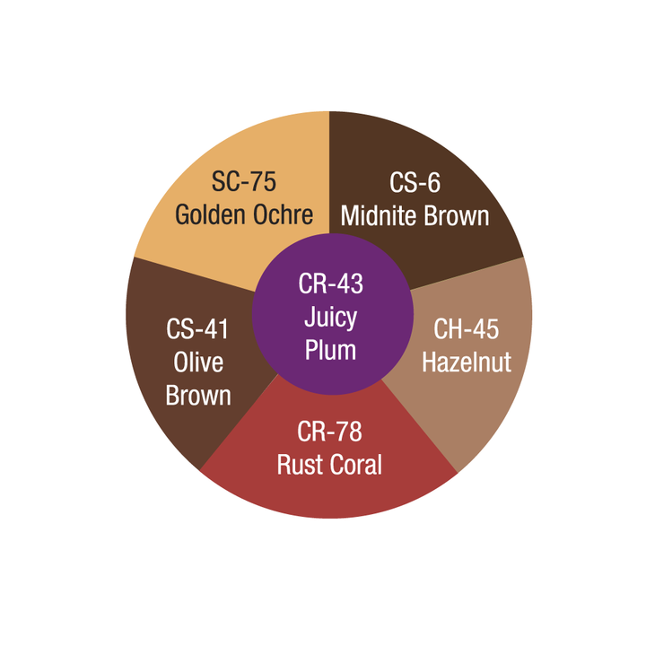 Ben Nye CBW5 Contour Wheel - Dark Brown shades