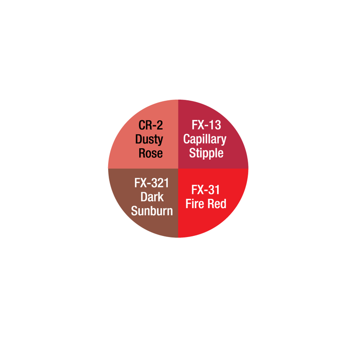 Ben Nye F/X Color Wheel