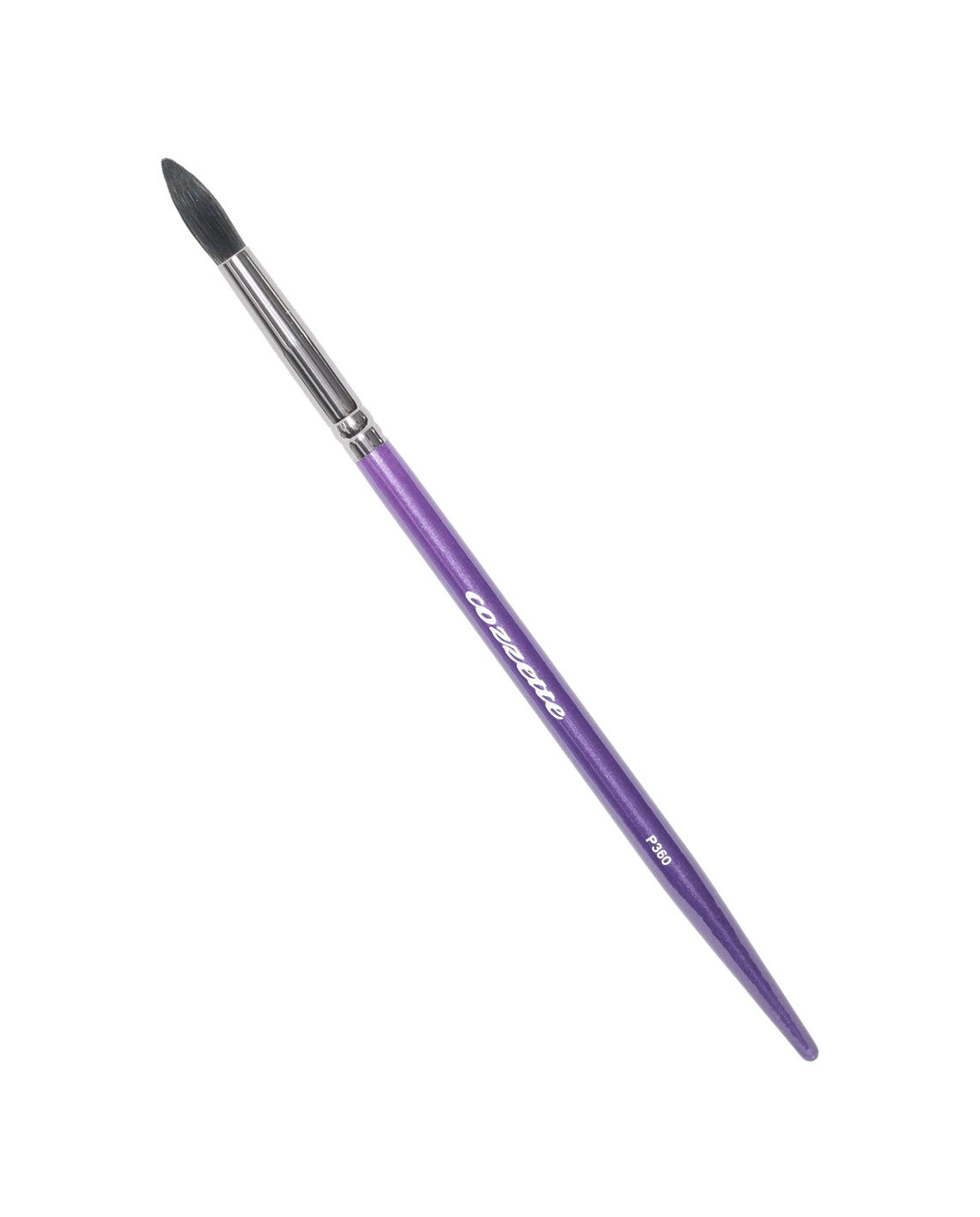 P360 Stylist illustrator brush