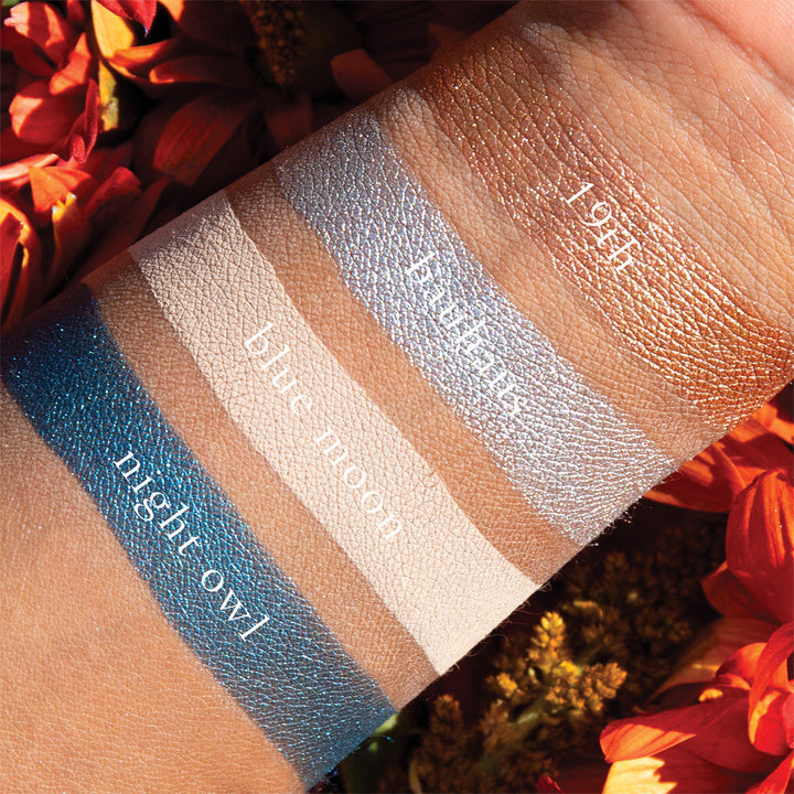 The Petits Fours Lapis pallet swatched and labeled on a dark skin person to show what the colors look like on the skin tone.
