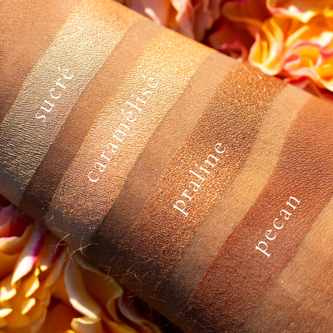 The Petits Fours Praline pallet swatched and labeled on a dark skinned person  on a dark skinned person