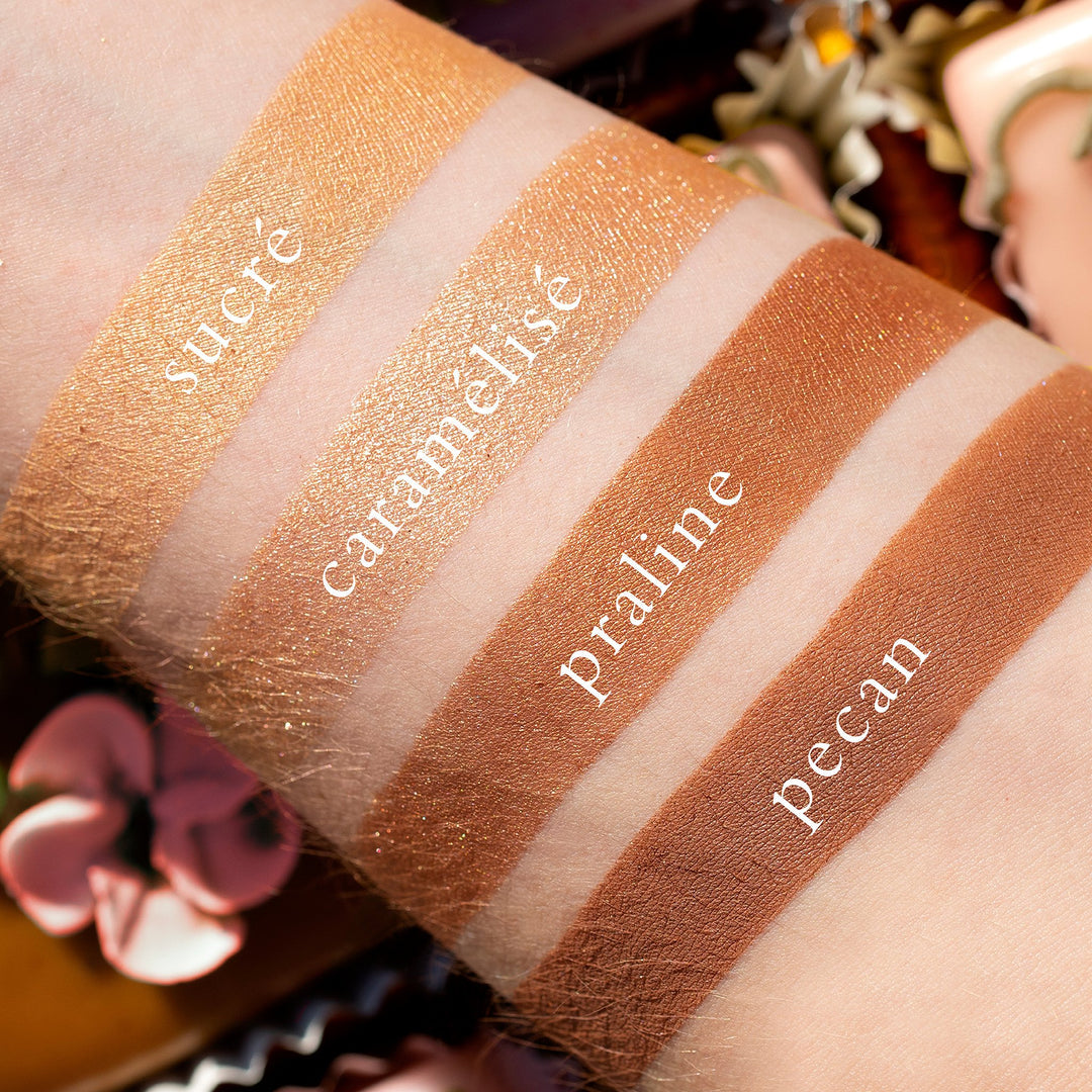 The Petits Fours Praline pallet swatched and labeled on a dark skinned person on a light skinned person