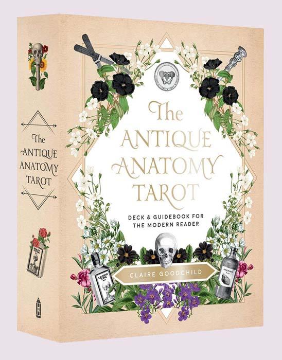 The Makeup Altar The Antique Anatomy Tarot