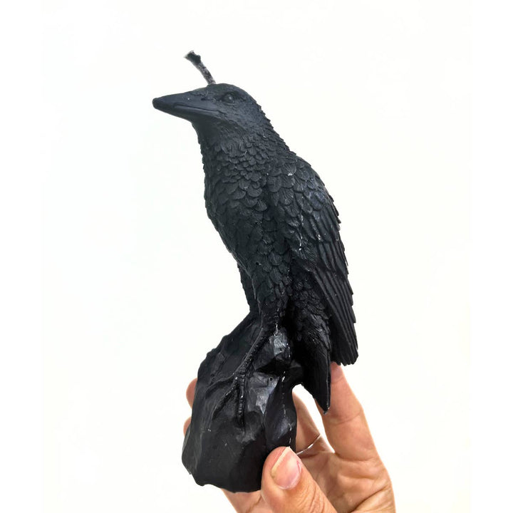 Freedom Rocks Mystical Black Raven