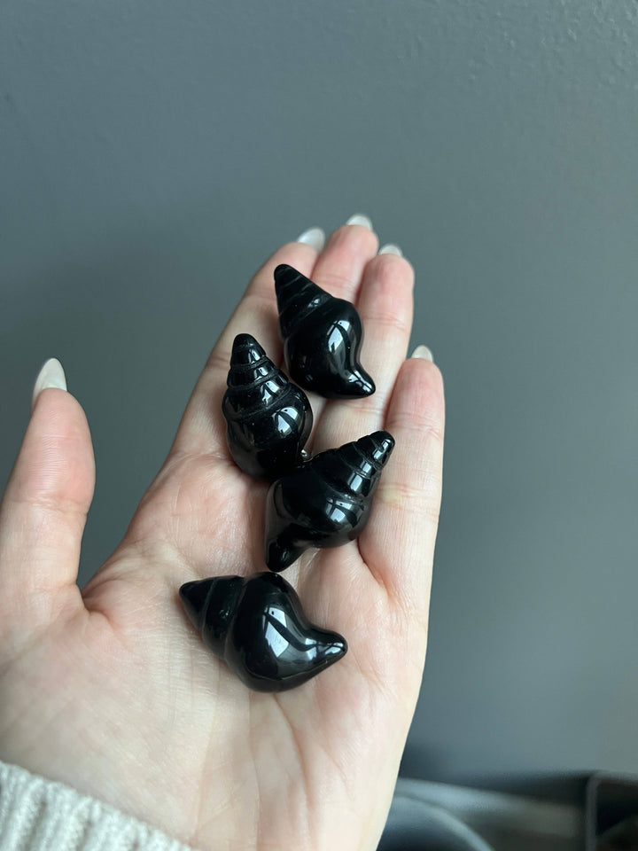 Black Obsidian Sea Shell Crystal Carving
