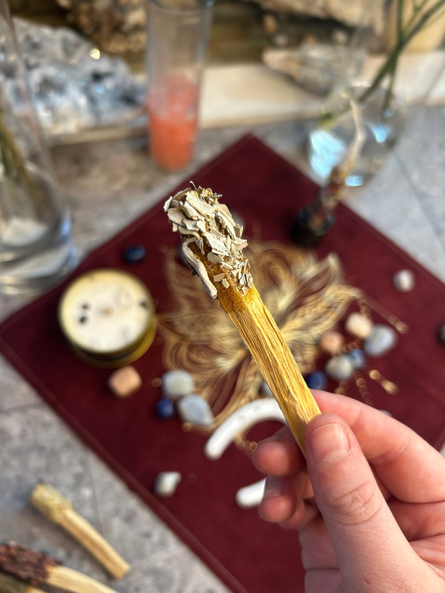 close up of Copal Dipped Palo Santo Sticks Rolled in white sage