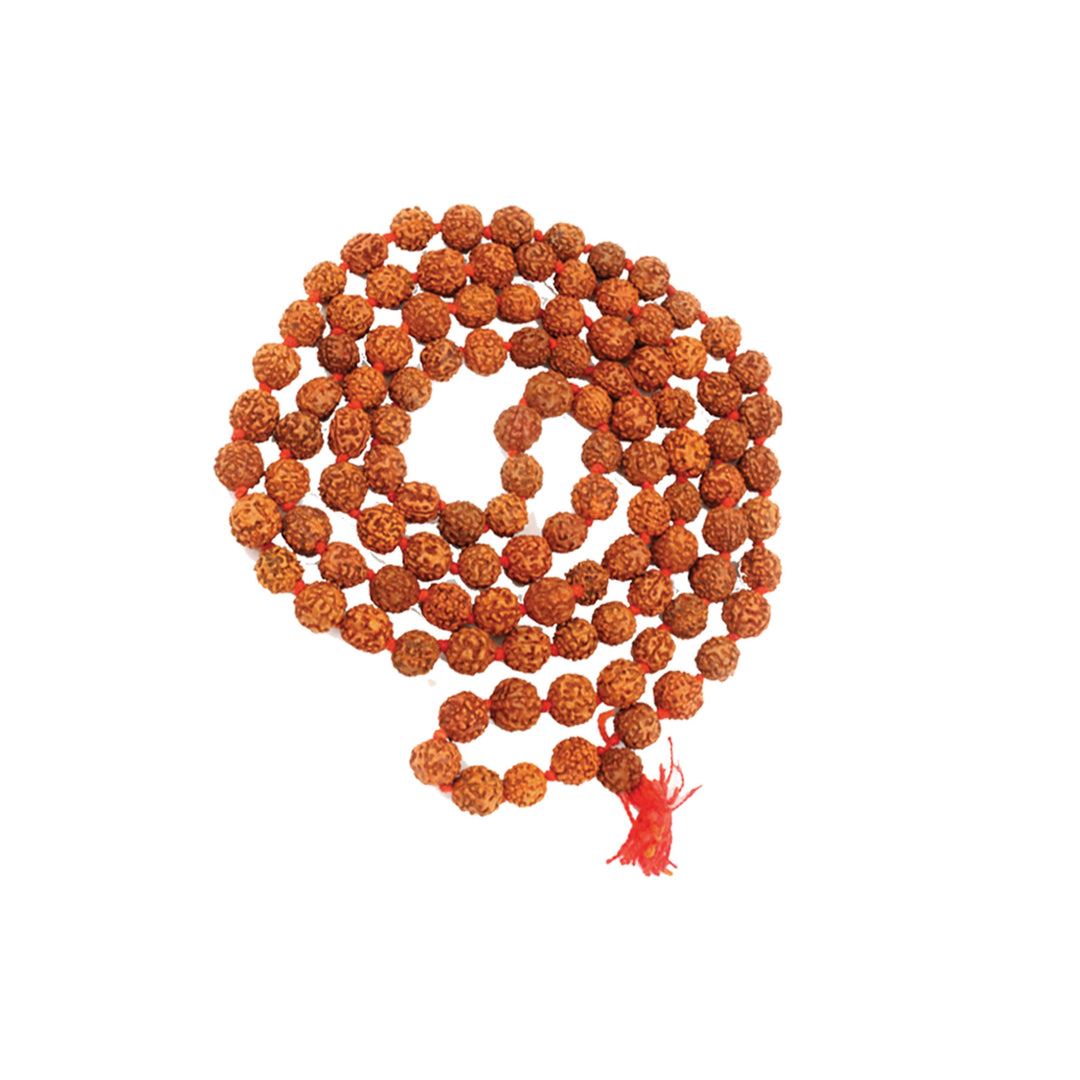 Rudraksh Mala Beads Large (12 mm)