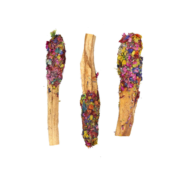 Palo Santo Pops - Dipped Chakra Harmony (3-4 in.)