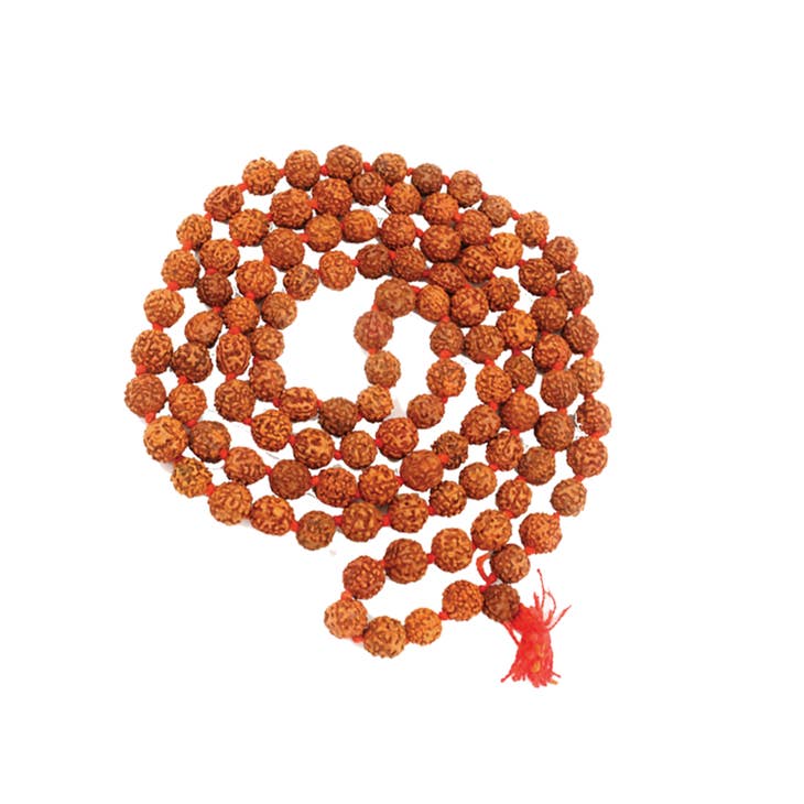 Rudraksh Stonefruit Mala Beads