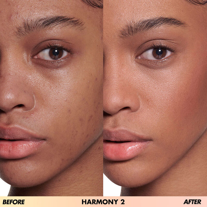 Harmony 2 - Tan to deep skintones HD Skin All in One Palette